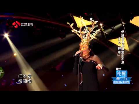 野草 谭维维 《假行僧》