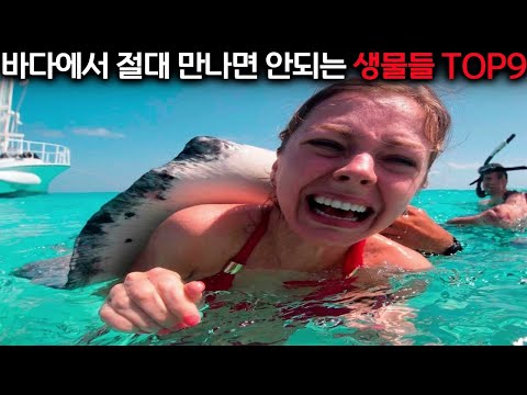 흐에ㅔ에에ㅔㅔㅐ