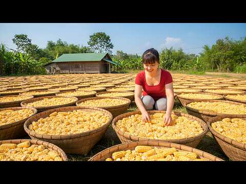 Harvest Corn Mountains and Use a 3-Wheeled Truck to Bring Everything Back to the Farm