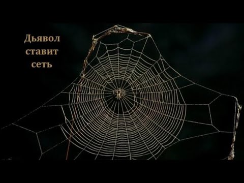 Вы в зоне риска!