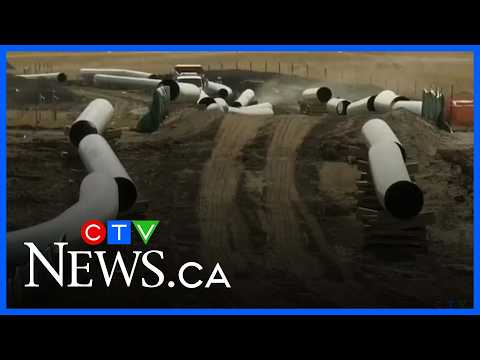 PM Carney knew about the Keystone XL plans prior to meeting with Trump: report