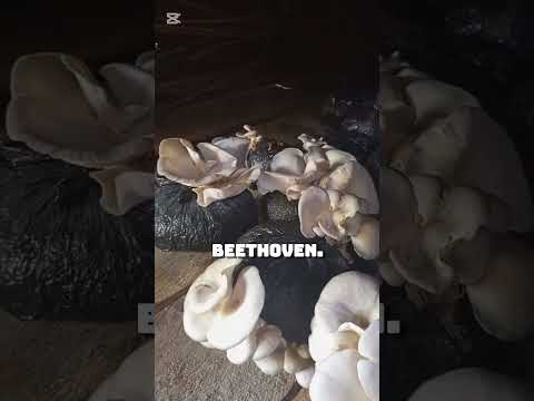 The Secret Ingredient for Perfectly Crispy Oyster Mushrooms. #shorts