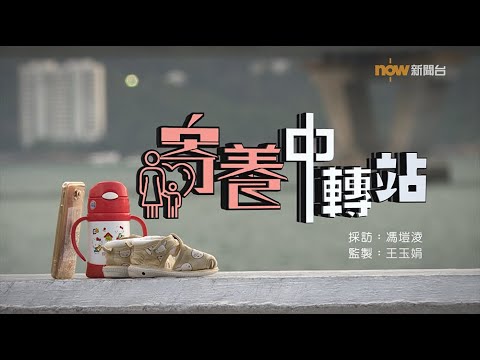 【經緯線】寄養中轉站