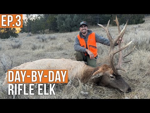 Down to the Wire | Prairie Elk (Ep.3)