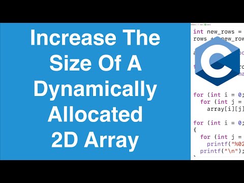 Increase The Size Of A Dynamically Allocated 2D Array | C Programming Tutorial