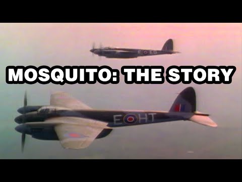 Mosquito: The Story