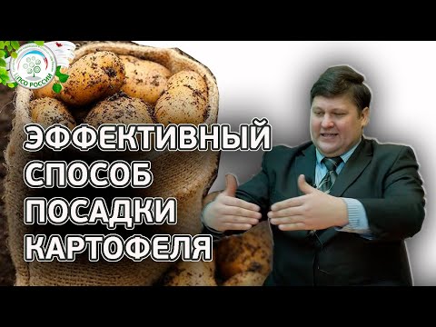 КАРТОФЕЛЯ БУДЕТ В 2 РАЗА БОЛЬШЕ ЕСЛИ ПОСАДИТЕ ТАКИМ СПОСОБОМ. Как посадить картофель.