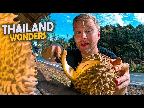 Thailand Wonders: Surat Thani to Nakhon Si Thammarat on Motorbike with Amazing Thai Food