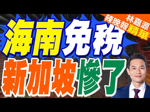 封關在即!海南離島免稅政策消費的3關鍵與2大類|海南免稅 新加坡慘了|蔡正元.介文汲.謝寒冰深度剖析【林嘉源辣晚報】精華版 @中天新聞CtiNews