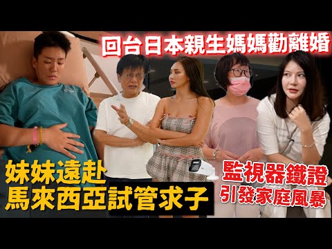 MAZE｜妹妹馬來西亞試管求子 回台馬上鬧離婚🤯 阿順被趕出家門 日本媽媽損碎嘴成導火線 全被監視器錄下｜