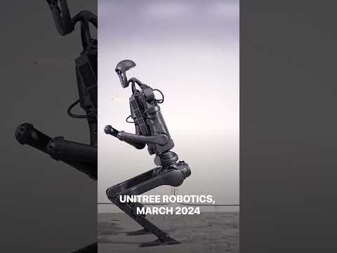 The evolution of ROBOTS FLIP