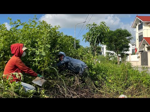 Luxury Street vs. Forgotten Sidewalk Jungle | Shocking Cleanup Transformation.