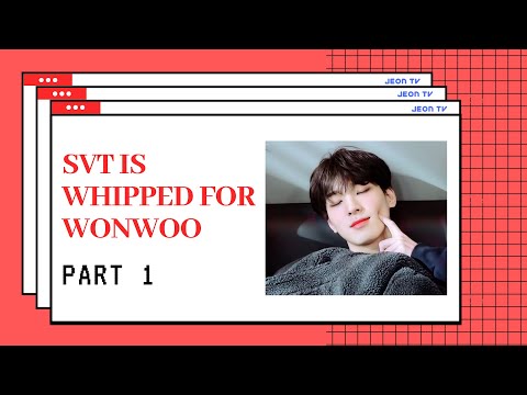 Jeon Wonwoo being babied by seventeen uwu