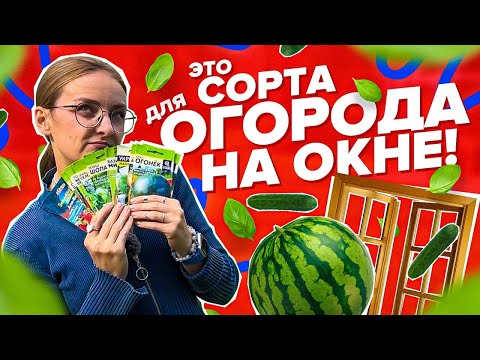 ЧТО СЕЯТЬ В ОГОРОДЕ НА ОКНЕ?