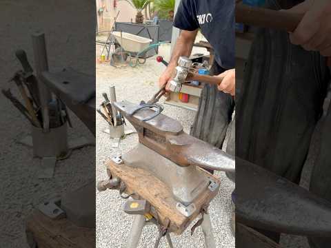 „My Horses loves you!“😂