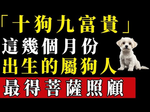 「十狗九富貴」屬狗人出生月份大揭秘！這幾個月份出生的屬狗人，最得菩薩照顧，快看看你是不是其中之一呢？#陳天師玄訣 #生肖#家運 #運勢 #風水 #財運 #命理#屬相運勢