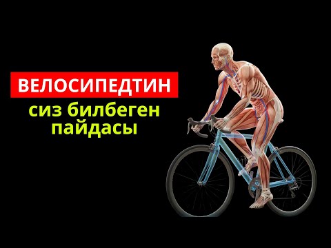 Велосипедтин пайдасы. Кайсыл органдарга жакшы?