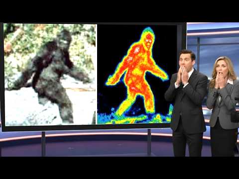 AI Finally Reveals The 1967 Patterson-Gimlin Bigfoot Film, You Won’t Believe What It Found