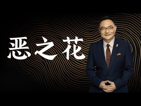 罗辑思维 134 恶之花