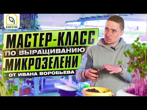 Мікрозелень. Майстер-клас з вирощування мікрозелені від Івана Воробйова.