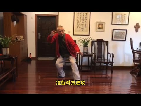 Yang-style Tai Chi: A Deep Understanding of Hai Di Zhen, Shan Tong Bei, and Hui Shen Pie Shen Chui.