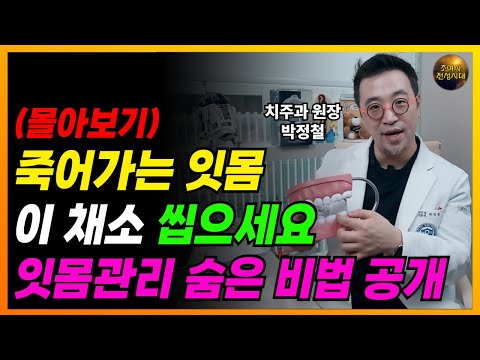 🟢 이 채소 씹으세요!! 평생 치과갈 일 없습니다!! 녹아내린 잇몸 살려줍니다!! (치과 의사 박정철)