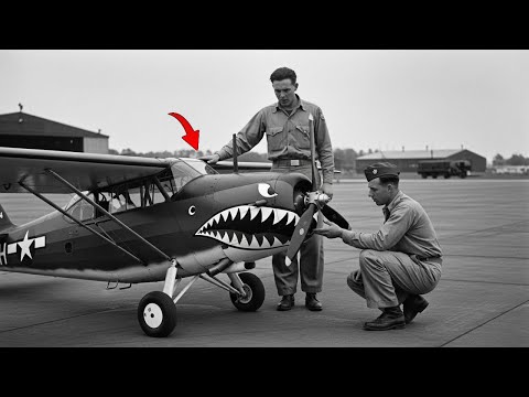 When This 'Knee-High' Plane Charged Germans — Nobody Believed What Happened Next