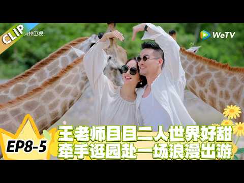 日落时分说爱你 EP8-5：动物园撒糖！王老师目目的甜蜜二人世界！#恋综 #日落时分说爱你