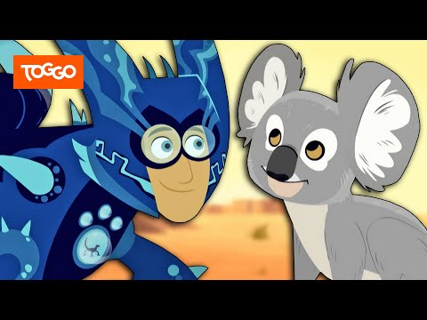 Go Wild! - Mission Wildnis | Ein Koala in der Wüste | Ganze Folge | TOGGO Serien