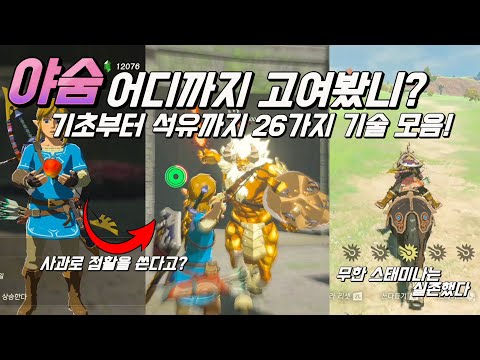 야숨 고인물 기술 모음 26가지 (botw advanced skills)