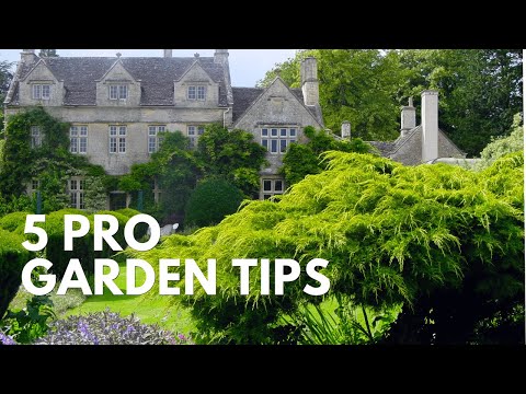 How To Design a Beautiful Garden - 5 Pro Tips from Barnsley House