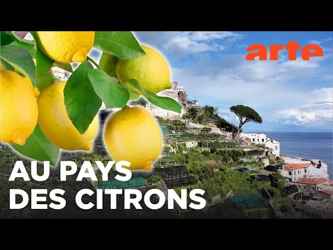 Les citrons vivifiants d’Italie | Un monde d'agrumes | ARTE Évasion