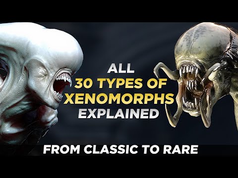 All 30 TYPES OF XENOMORPHS Explained - From Classic To Rare