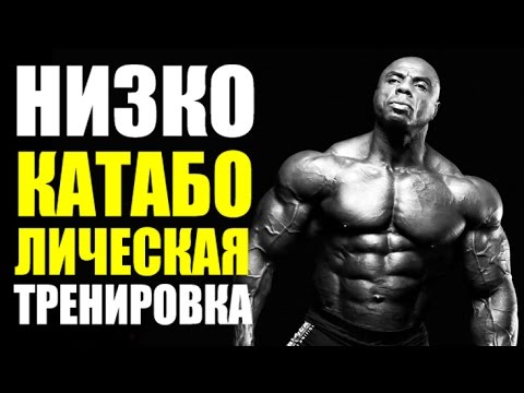 НИЗКО КАТАБОЛИЧЕСКАЯ ТРЕНИРОВКА  (Должен Знать Каждый Натурашка)