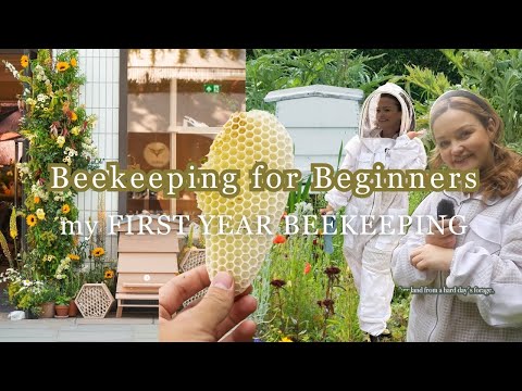 My First Year as a Beekeeper in Ireland | From Beginner to Swarm Catcher with Native Irish Bees