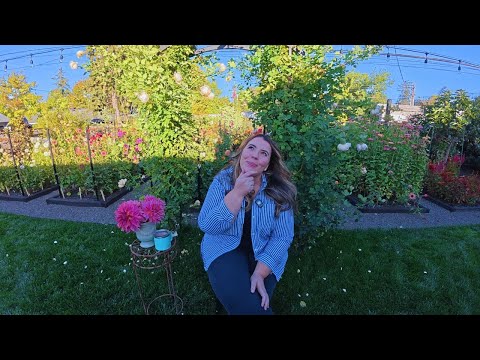 What Do You Do For Work Outside Of Youtube? Do You Look Up To Other Gardeners? / My First Q&A! 🙋‍♀️💗