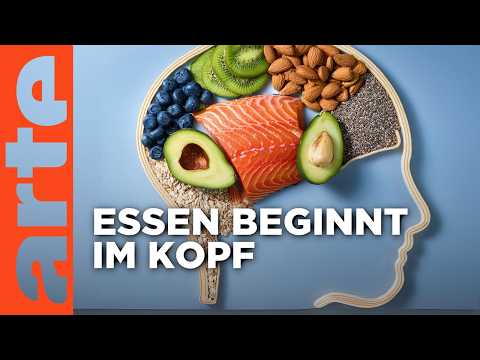 Das Gehirn isst mit - Köstliche Wissenschaft | Doku HD | ARTE
