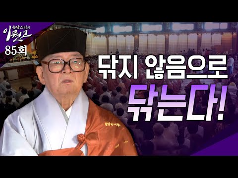 [큰자막]닦음이 없이 닦는다| 송담스님의 이뭣고 85회 (전체영상) #송담스님 #간화선