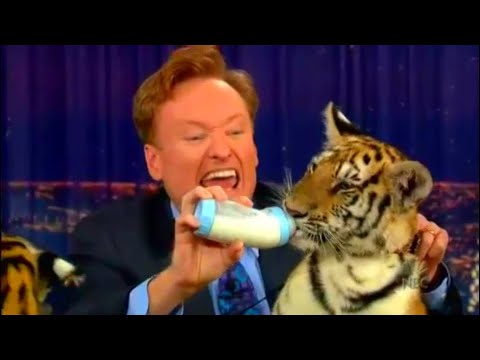Conan O'Brien & Animals - Venomous Primate And Tigers (2006)