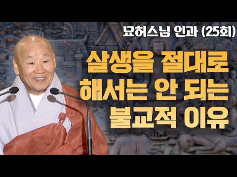 살생을 절대로 해서는 안 되는 불교적인 이유 [묘허스님의 인과 25회]