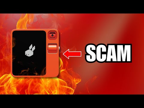 The Rabbit Is A Scam