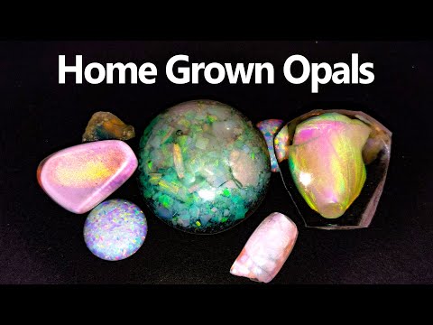 Can you GROW an Opal?