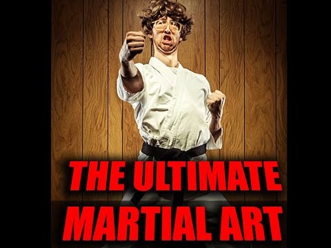 DOES SHOTOKAN SUCK?!!!! an expert analysis