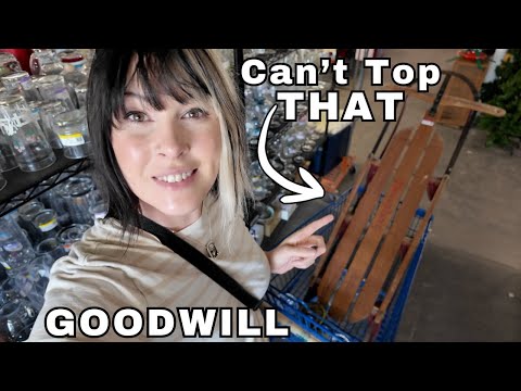 Don't Think We Can Top That | Goodwill Thrift With Me