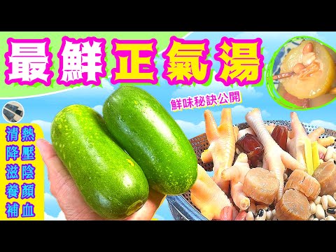 暑假王牌節瓜湯🏖濕毒邪氣⭐️水腫高壓⭐️冇嚟醒目立即消⭐️試過好記得點讚/分享/訂閱🍀 #Chinese #soup #药膳