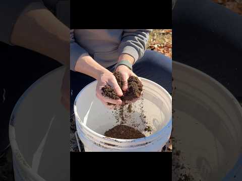 My Seed Starting Mix π±