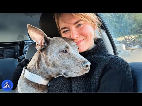 No One Wanted Her for 3 Years, Until One Woman Saw Her Heart