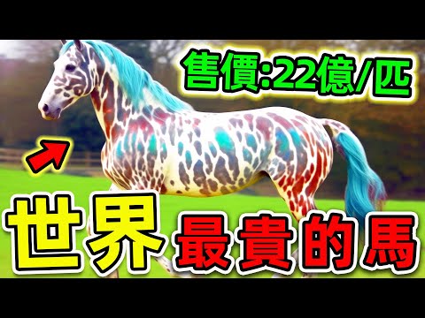 全世界最貴的10匹馬！汗血寶馬只排第4，第一名售價高達22億，卻沒人敢養。|#世界之最top #世界之最 #出類拔萃 #腦洞大開 #top10 #最貴的馬