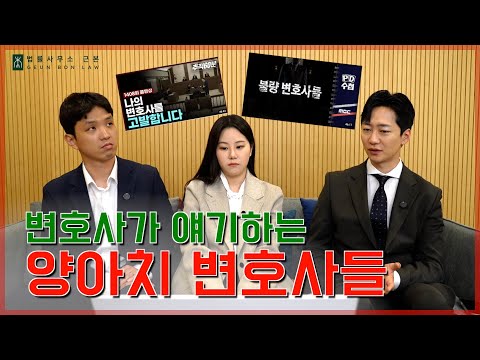 [법률 이야기] 변호사 업계에 출몰한다는 법 양아치들,, 이 영상 보시고 꼭 거르세요!