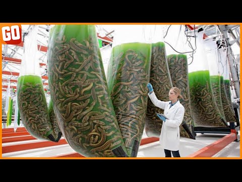 30 Minutes Of Amazing Continuous Production Machinery & Most Admirable Worker Ever Before ▶ 7